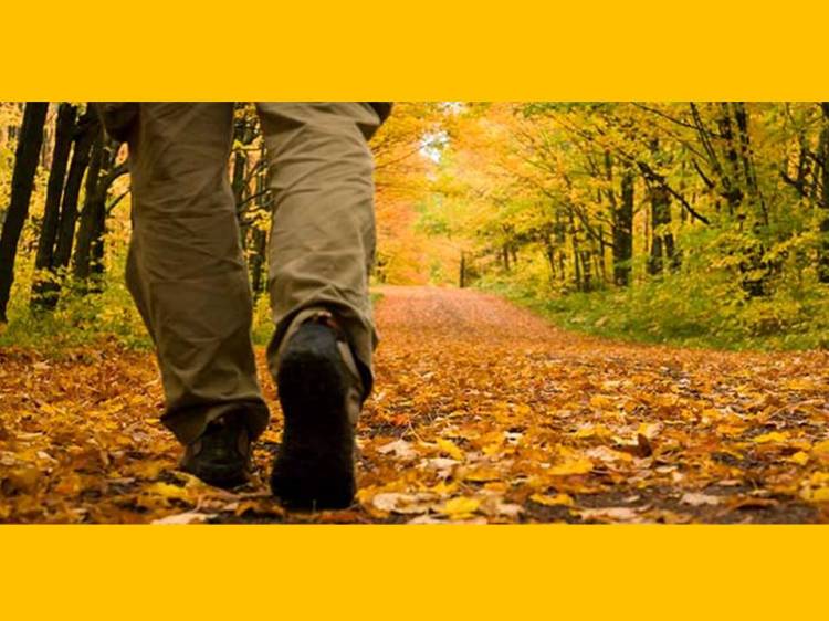 Nuevo Presentación de Microsoft PowerPoint